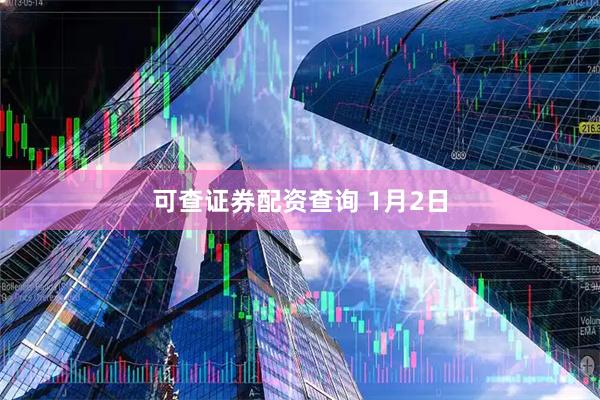 可查证券配资查询 1月2日