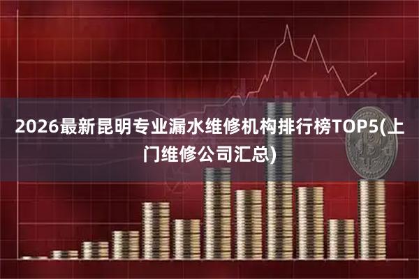 2026最新昆明专业漏水维修机构排行榜TOP5(上门维修公司汇总)